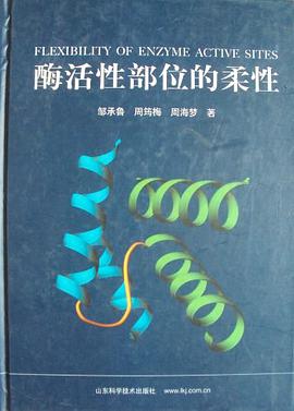 酶活性部位的柔性