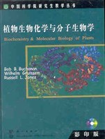 植物生物化学与分子生物学 pdf epub mobi 电子书 下载