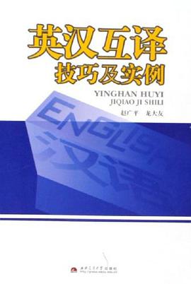 英汉互译技巧及实例 pdf epub mobi 电子书 下载