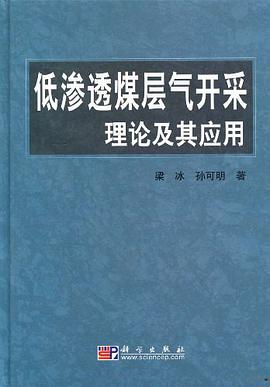 低渗透煤层气开采理论及其应用 pdf epub mobi 电子书 下载