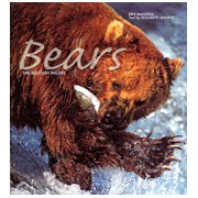 Bears pdf epub mobi 电子书 下载