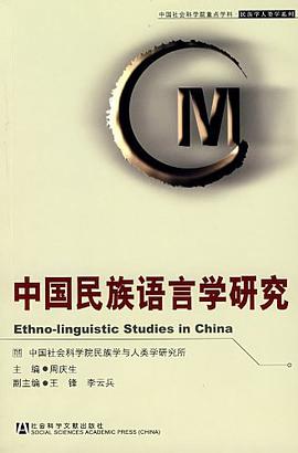 中国民族语言学研究 pdf epub mobi 电子书 下载