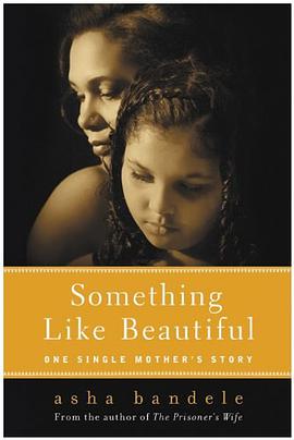 Something Like Beautiful pdf epub mobi 电子书 下载