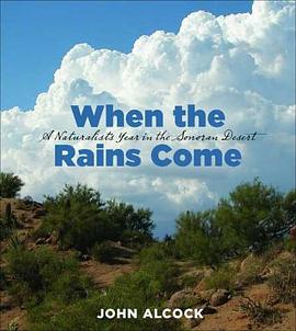 When the Rains Come pdf epub mobi 電子書 下載
