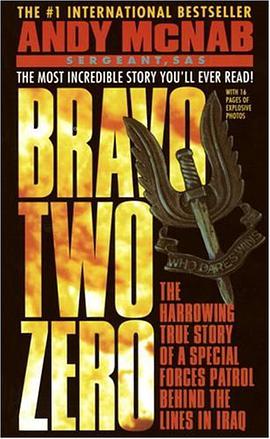 BRAVO TWO ZERO pdf epub mobi 电子书 下载