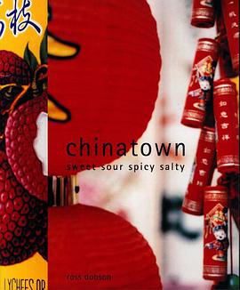 chinatown sweet sour spicy salty pdf epub mobi 电子书 下载