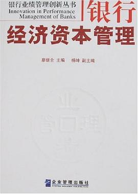 银行经济资本管理 pdf epub mobi 下载