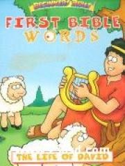 First Bible Words - The Life of David pdf epub mobi 电子书 下载