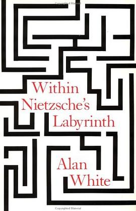 Within Nietzsche's Labyrinth pdf epub mobi 電子書 下載
