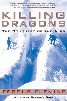 Killing Dragons pdf epub mobi 电子书 下载