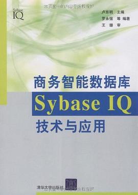 商务智能数据库SybaseIQ技术与应用 pdf epub mobi 电子书 下载
