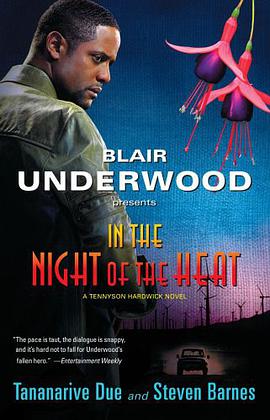 In the Night of the Heat pdf epub mobi 电子书 下载