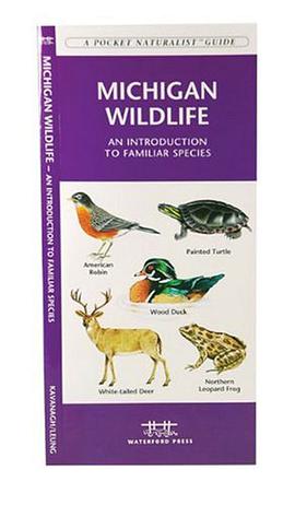Michigan Wildlife pdf epub mobi 电子书 下载