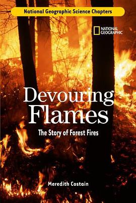 Devouring Flames pdf epub mobi 电子书 下载