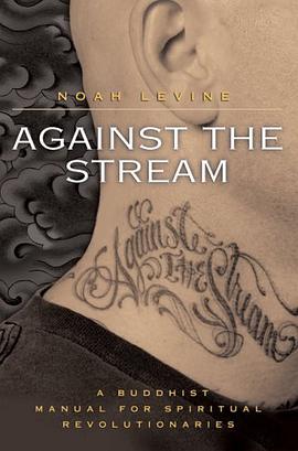 Against the Stream pdf epub mobi 电子书 下载