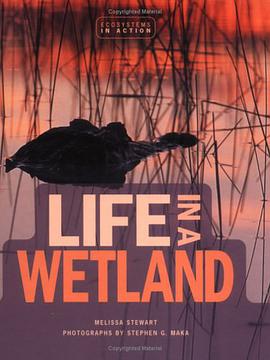 Life in a Wetland pdf epub mobi 电子书 下载