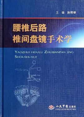 腰椎后路椎间盘镜手术学 pdf epub mobi 电子书 下载