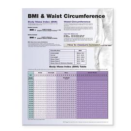 BMI and Waist Circumference Chart pdf epub mobi 电子书 下载
