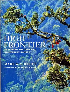The High Frontier pdf epub mobi 电子书 下载
