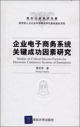 企业电子商务系统关键成功因素研究 pdf epub mobi 电子书 下载