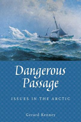 Dangerous Passage pdf epub mobi 电子书 下载