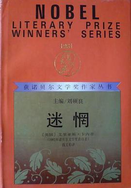 迷惘 pdf epub mobi 电子书 下载