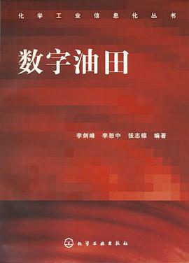 数字油田 pdf epub mobi 电子书 下载