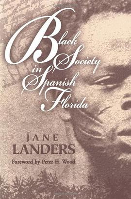 Black Society in Spanish Florida pdf epub mobi 电子书 下载