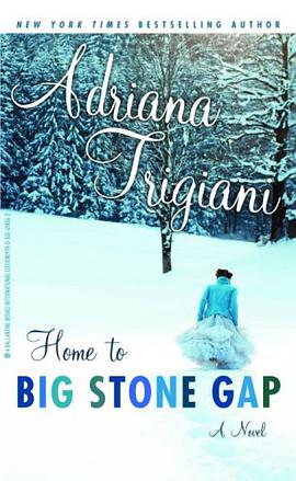 房子到大石缝/HOME TO BIG STONE GAP by Adrianna Trigiani pdf epub mobi 电子书 下载