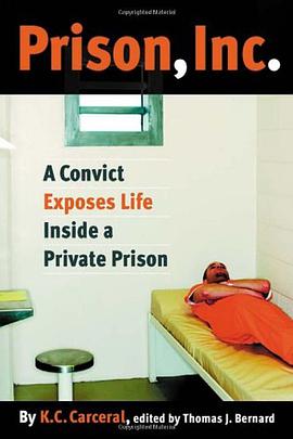 Prison, Inc. pdf epub mobi 电子书 下载