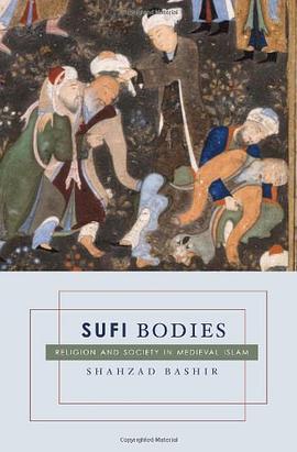 Sufi Bodies pdf epub mobi 電子書 下載