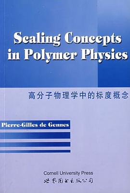 高分子物理学中的标度概念 pdf epub mobi 电子书 下载