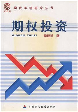 期权投资 pdf epub mobi 电子书 下载