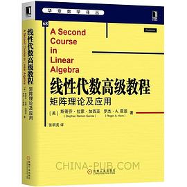 线性代数高级教程 pdf epub mobi 电子书 下载