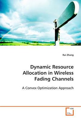 Dynamic Resource Allocation in Wireless FadingChannels pdf epub mobi 电子书 下载