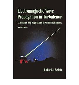 Electromagnetic Wave Propagation in Turbulence pdf epub mobi 電子書 下載