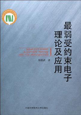 最弱受约束电子理论及应用 pdf epub mobi 电子书 下载