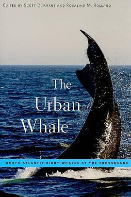 The Urban Whale