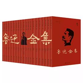 鲁迅全集(套装全20卷) pdf epub mobi 电子书 下载