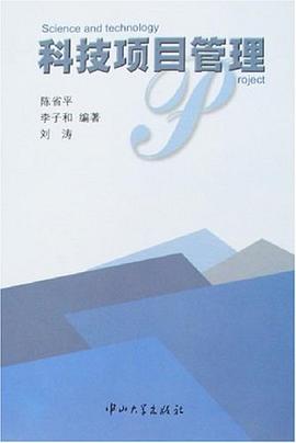 科技项目管理 pdf epub mobi 电子书 下载