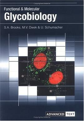 Functional and Molecular Glycobiology pdf epub mobi 电子书 下载