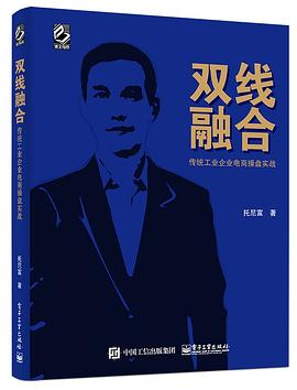 双线融合——传统工业企业电商操盘实战 pdf epub mobi 电子书 下载