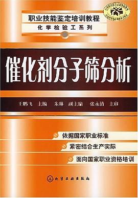 催化劑分子篩分析 pdf epub mobi 電子書 下載