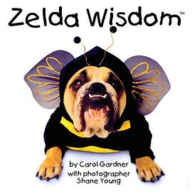 Zelda Wisdom pdf epub mobi 电子书 下载