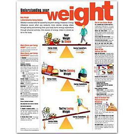 Understanding Your Weight Anatomical Chart pdf epub mobi 電子書 下載