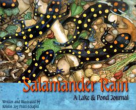 Salamander Rain pdf epub mobi 电子书 下载