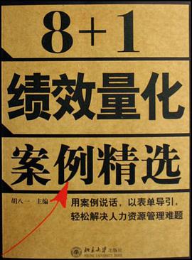 8+1绩效量化案例精选
