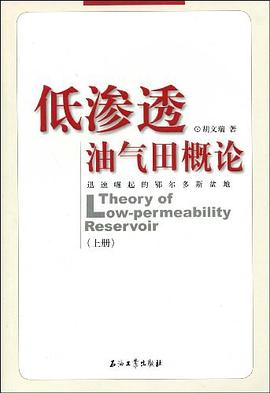 低渗透油气田概论-迅速崛起的鄂尔多斯盆地（上册） pdf epub mobi 电子书 下载