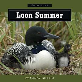 Loon Summer pdf epub mobi 电子书 下载