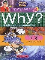 Why?气象 pdf epub mobi 下载